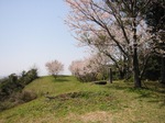 IMG_0014t.JPG