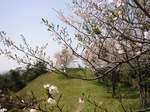 IMG_0021.JPG